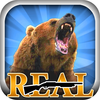 Real Trophy Hunting App Icon