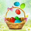 Egg Catcher Fun App Icon