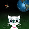 Physics Cats in Space