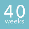 40 Weeks - Pregnancy Companion App Icon