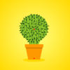 Lucky Cactus App Icon