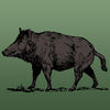 Wild Hog Sounds App Icon