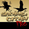 Snows and Crows Pro App Icon