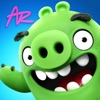 Angry Birds AR Isle of Pigs App Icon