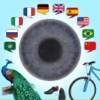 JOURIST Visual Dictionary App Icon