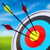 Arrow Master Archery Game App Icon