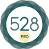 528 Player Pro