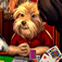 Dogs Playing Poker Free App Icon