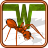 Ant Wars App Icon