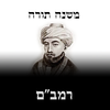 Mishneh Torah - Rambam - רמב”ם - משנה תורה App Icon