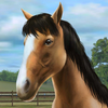 My Horse App Icon