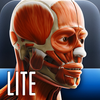 Anatomy In Motion - Shoulder Muscles Flashcards App Icon