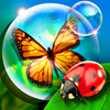Bugs and Bubbles App Icon