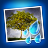 Rainy Daze App Icon