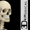 Skeleton System Pro III - iPhone Edition App Icon