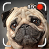 Talking Puppy App Icon