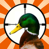 Duck Hunter Open Season App Icon