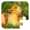 Puzzle Baby Animals App Icon