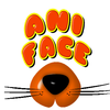 aniface App Icon