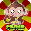 Curious Monkey Climb