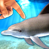 Dolphin Fingers 3D Interactive Aquarium App Icon