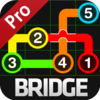 Draw Link Bridge Pro App Icon