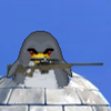 Angry Penguins App Icon