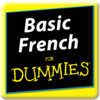 Basic French For Dummies App Icon