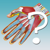 Anatomy Hand Quiz App Icon