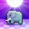Disco Zoo App Icon