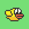 Flap Bird Flap App Icon