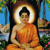 Buddhism News App Icon