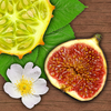 Exotic Fruits and Vegetables - NATURE MOBILE App Icon