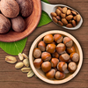 Nuts - NATURE MOBILE App Icon