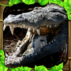 Wildlife Simulator Crocodile App Icon