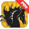 A Black Stallion 3D Horsey Running Game - Pro Edition App Icon