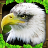 Eagle Simulator App Icon