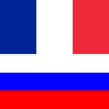 YourWords French Russian French travel and learning dictionary App Icon