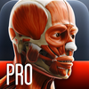 Anatomy In Motion - Complete - Muscle System Flashcards for iPhone and iPad App Icon