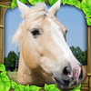 Wild Horse Simulator App Icon