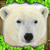 Polar Bear Simulator App Icon