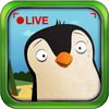 Pocket Zoo  with Live Animal Cams App Icon