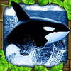 Orca Simulator App Icon