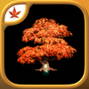 Fire Maple Games - Ultimate Adventure Collection App Icon