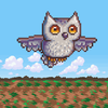 Owl Dash