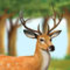 Deer Run From Wild Hunters Pro