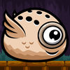 Cyclops Bird - PRO App Icon