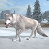 Arctic Wolf App Icon