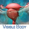 Reproductive and Urinary Anatomy Atlas Essential Reference for Students and Healthcare Professionals App Icon
