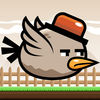 Grumpy Bird - Endless Arcade Flyer - PRO App Icon